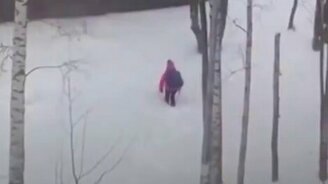 Сделал ямочку - шагнул - смотреть видео (0:39)