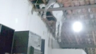 Осёл проломил крышу - смотреть видео (1:29)