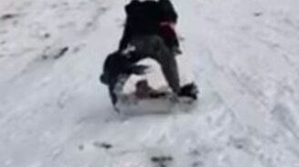 Когда папа - настоящий герой! - смотреть видео (0:54)