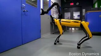 Кто скоро захватит мир - смотреть видео (0:45)