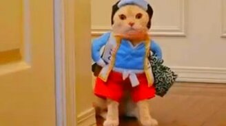 Я выйду, если вы не будете смеяться - смотреть видео (0:58)