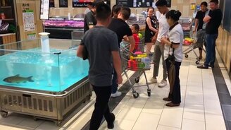 Ловкий рыбий полёт - смотреть видео (0:26)