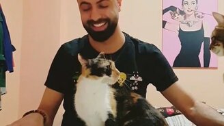 Игра на пианино в четыре лапы - смотреть видео (0:44)