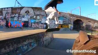 Собака-видеооператор - смотреть видео (0:53)