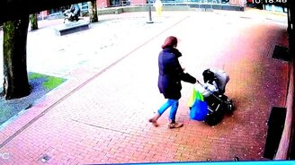 Упавшее дерево чудом не придавило людей - смотреть видео (0:31)