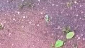 Что мы видим своими глазами? - смотреть видео (0:45)