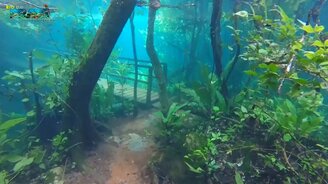 Красиво затопило! - смотреть видео (0:33)