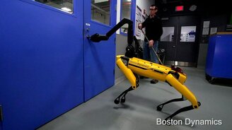 Они точно скоро захватят мир! - смотреть видео (1:04)