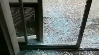 Как пёс гулять торопился - смотреть видео (0:17)