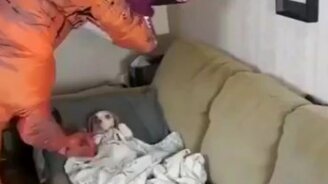 Когда хозяин - динозавр - смотреть видео (0:34)