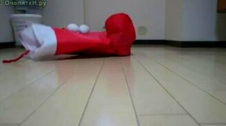 Рождественский кот - смотреть видео (2:22)