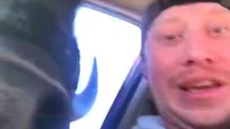 Здравствуйте, я зубр! - смотреть видео (0:18)