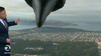 Птица прервала прогноз погоды - смотреть видео (0:34)