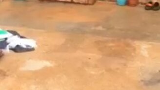 Я сделал для своего кота дверцу... - смотреть видео (0:41)