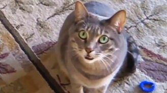 От улыбки становится светлей! - смотреть видео (1:00)