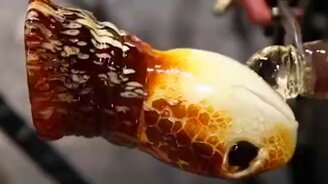 Создание стеклянной черепахи - смотреть видео (8:36)