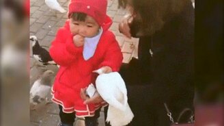 Жадная девочка и голубь - смотреть видео (0:20)