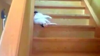 Кошка подстилка - смотреть видео (0:35)