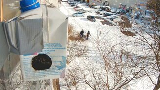 Кормление синичек - смотреть видео (5:22)