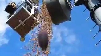 Как дятлы выводят из строя антенны - смотреть видео (0:18)