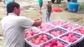 Пищевая промышленность по-китайски - смотреть видео (1:47)