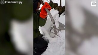 Спас овцу из-под снега - смотреть видео (1:07)