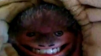 Рожица из бодбородка - смотреть видео (1:11)