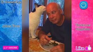 Прикольное с детьми и зверушками - смотреть видео (10:08)