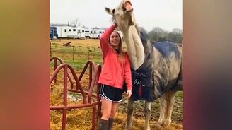 Звери чудят и веселят - смотреть видео (6:37)