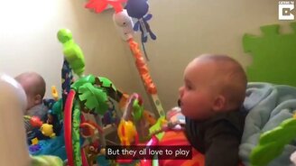 Каково родителям тройняшек - смотреть видео (1:15)