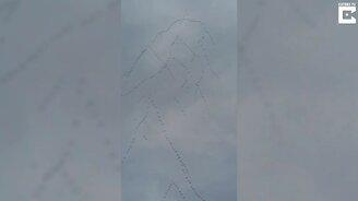 Как выглядит миграция журавлей - смотреть видео (0:44)