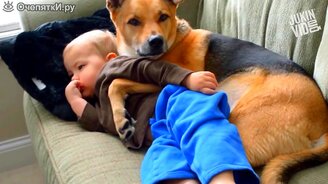 Милые дети и собаки - смотреть видео (3:20)