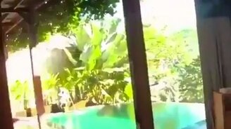 Приятное начало утра - смотреть видео (0:31)