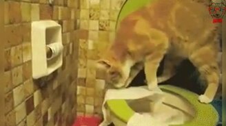 Надёжно закопал свои отходы - смотреть видео (0:27)