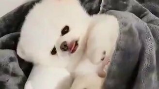 Сладко лежать в кроватке - смотреть видео (0:32)