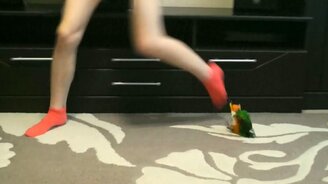 Попугай танцует с хозяйкой - смотреть видео (0:54)