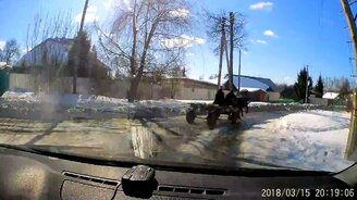 ДТП с лошадью и телегой - смотреть видео (0:26)