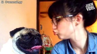 Нарушили личное пространство питомца - смотреть видео (3:07)