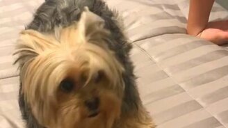 Я тебя люблю, но ты меня не трогай! - смотреть видео (0:35)