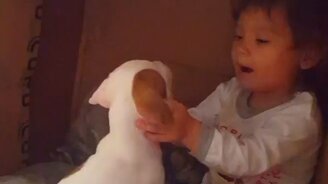 Девочка общается со щенком - смотреть видео (0:43)