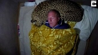 Каково спать с гепардом - смотреть видео (2:14)