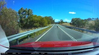 Кенгуру на дороге - смотреть видео (0:15)