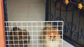 Нас заперли! - смотреть видео (0:42)