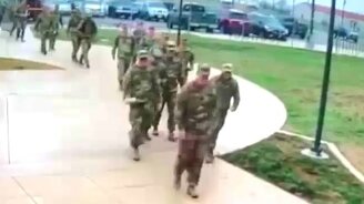 Гусь атакует солдат - смотреть видео (0:33)