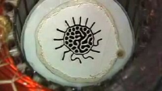 Ферромагнитная жидкость во вращающемся поле - смотреть видео (3:00)