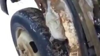 Немного гнилая машина - смотреть видео (0:52)