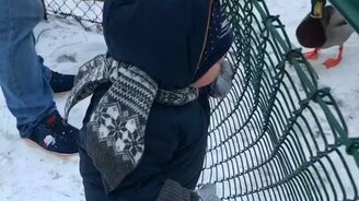 Ваня, покорми уточек! - смотреть видео (0:30)