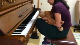 Хозяйка, ну не играй! - смотреть видео (4:14)