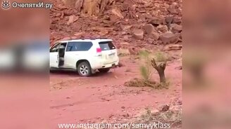 Сборник самого весёлого из свежего - смотреть видео (6:04)