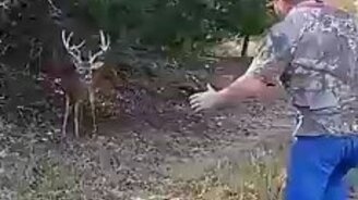 Дикий - не значит агрессивный - смотреть видео (0:13)